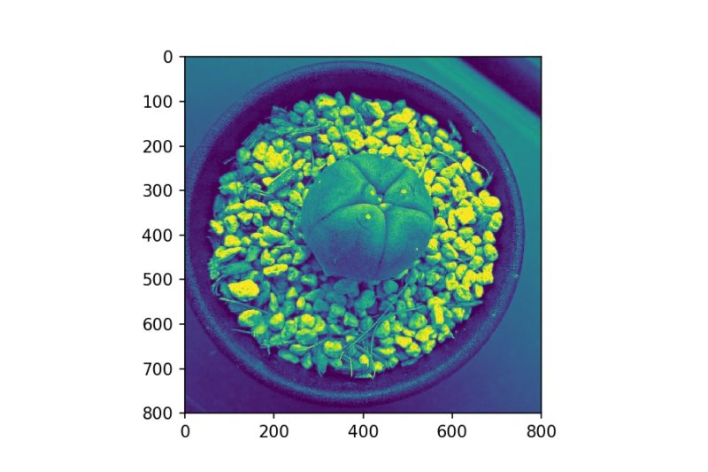 Matplotlib 24 画像の表示 保存 画像処理について サボテンパイソン