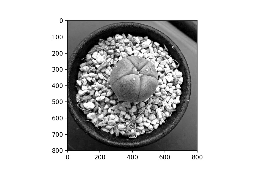 Matplotlib 24 画像の表示 保存 画像処理について サボテンパイソン