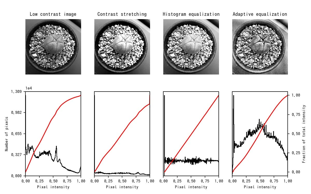 Scikit Image 8 各種均等化法によるコントラストの補正 サボテンパイソン