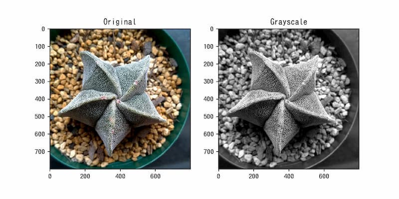 Scikit Image 3 Rgb画像をグレースケールに変換 サボテンパイソン