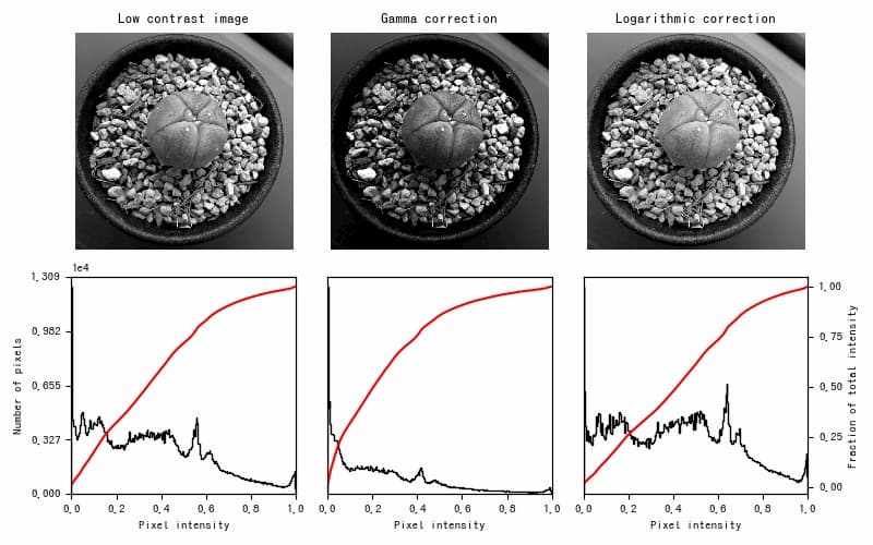 Scikit Image 7 ガンマ補正と対数補正 サボテンパイソン